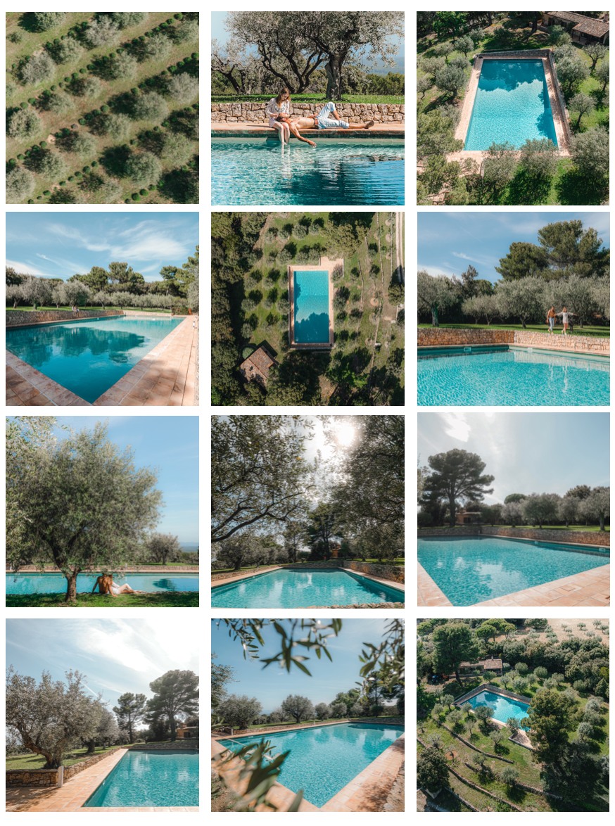 piscine et olivier