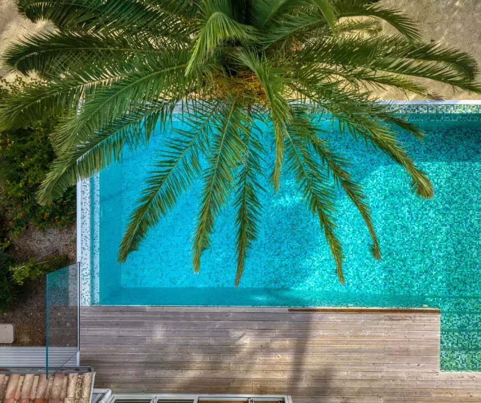 Piscine à débordement regardant vers une forêt de pins, agrémenté d'un palmier, avec un design en mosaïque verte.