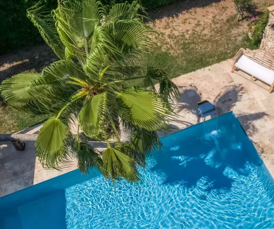 Actualisation d'une piscine coque en une piscine maçonnée luxueuse, ornée d'un palmier captivant, d'une cascade enchanteuse et d'un pavage en travertin.