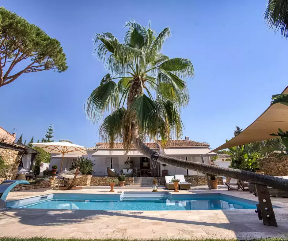 Mise à niveau d'une piscine coque vers une piscine en maçonnerie classique, accompagnée d'un palmier géant penché, d'une cascade rafraîchissante et d'un patio en travertin.